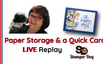 Paper Storage and a Quick Card
