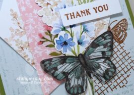 Butterfly Thank You Card