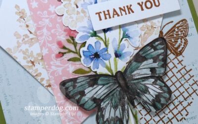 Butterfly Thank You Card