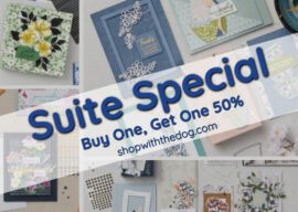 A Dozen Cardmaking Ideas for Bundle Savings