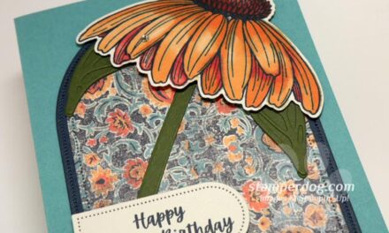 Need a Belated Birthday Card?