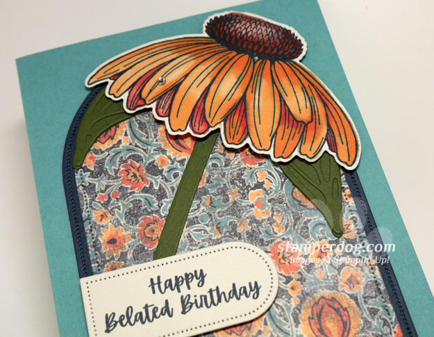 Need a Belated Birthday Card?