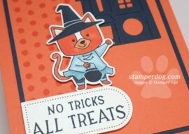 Cute Cat Halloween Card