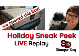 Our Stampin’ Up! Holiday Haul