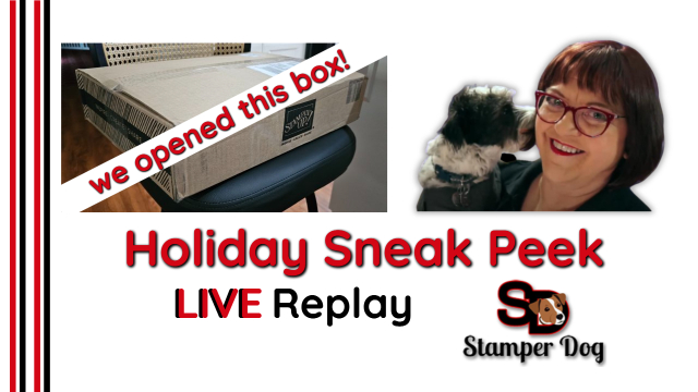 Our Stampin’ Up! Holiday Haul