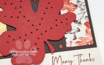 Sneak Peek Many Thanks Card