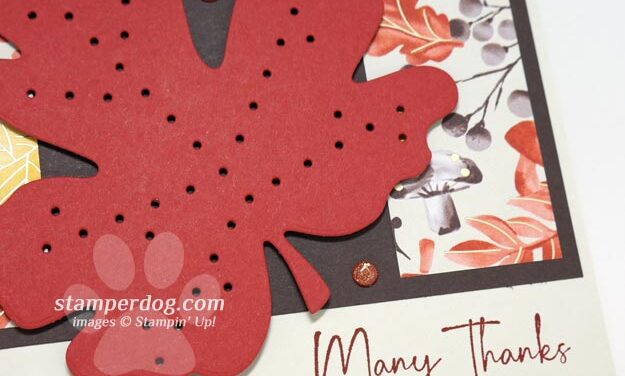 Sneak Peek Many Thanks Card