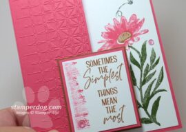 Simple Summer Thank You Card