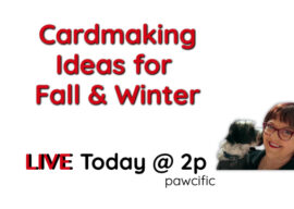 Don’t Miss Today’s Live Stream!