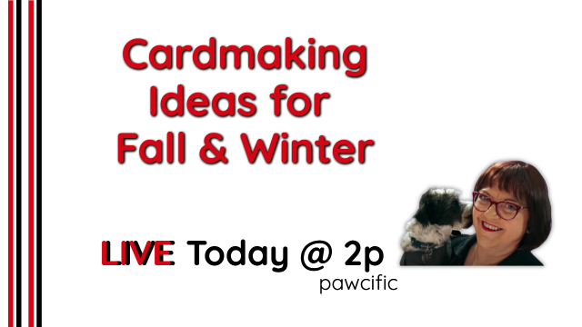 Don’t Miss Today’s Live Stream!