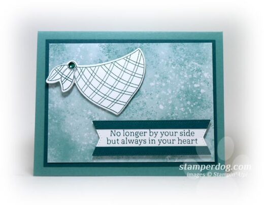 Pet Sympathy Card