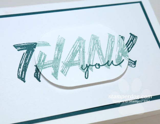 We Want to Say Thank You!