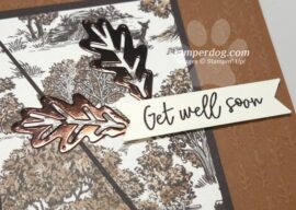 Can You Spot the Sneak Peek?