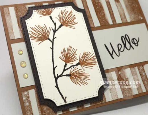 Fall Hello Card