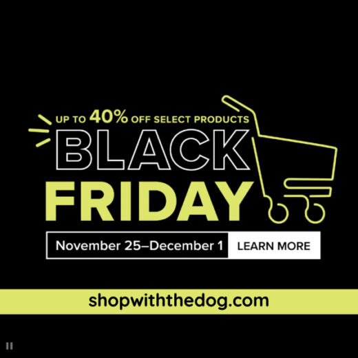 Black Friday Special