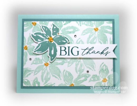 Big Thank You Card for the Hosts