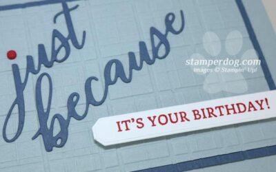 Blue Birthday Card for Christmas