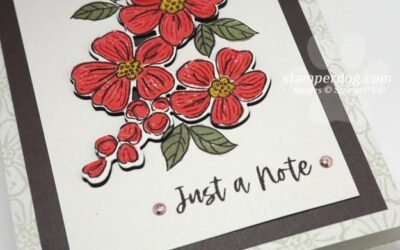 Card Border Sizes on Sneak Peek Saturday