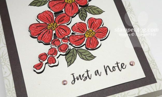 Card Border Sizes on Sneak Peek Saturday