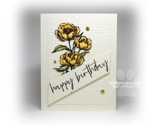 Yellow Rose Birthday Card