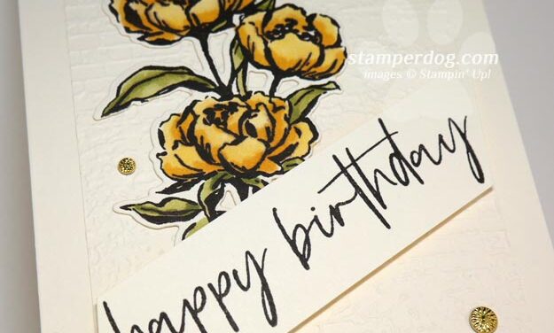 Yellow Rose Birthday Card