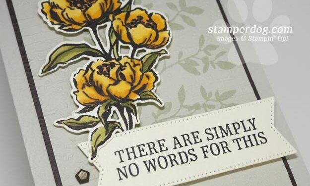 Yellow Rose Sympathy Card