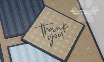 What’s Your Favorite Product of the Month?