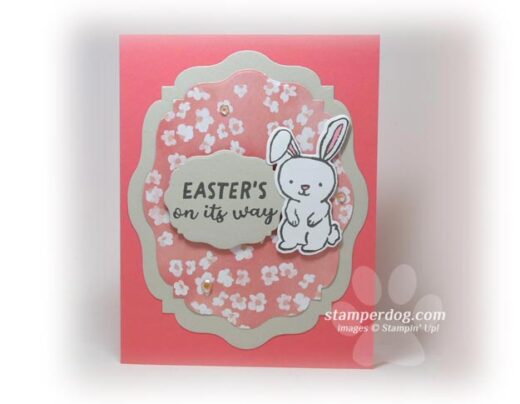 Fun Easter Bunny Card