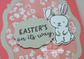 A Fun Easter Bunny Card