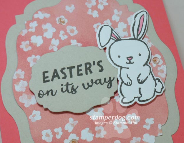 A Fun Easter Bunny Card