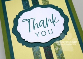 Thank You Card Update