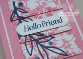 Playing the Pink Friend Card