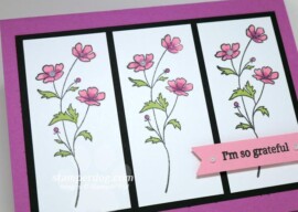 Can You Spot the Sneak Peek?