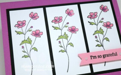 Can You Spot the Sneak Peek?