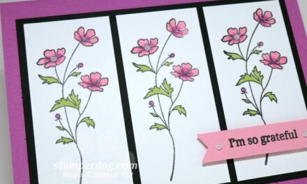 Can You Spot the Sneak Peek?