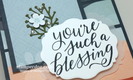 Outside Our Comfort Zone