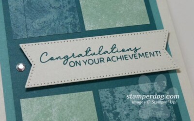 Sneak Peek Card for an Eagle Scout