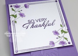 Feeling So Very Thankful