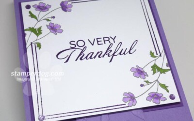 Feeling So Very Thankful