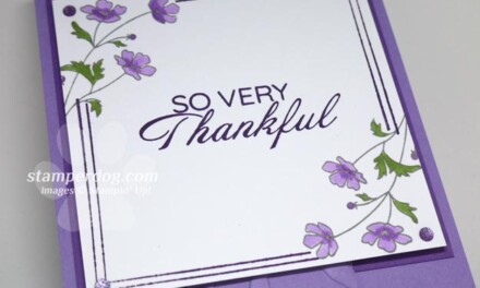 Feeling So Very Thankful