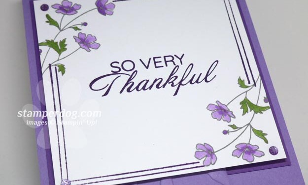 Feeling So Very Thankful