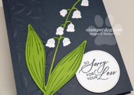 Sunday Sneak Peek