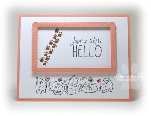 Cat Card