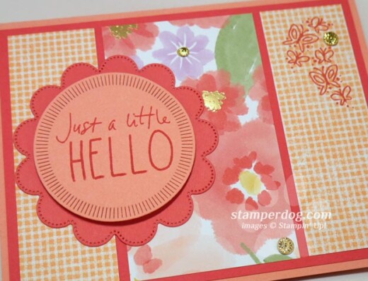 Big Hello Card