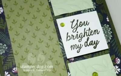 Go Ahead!  Brighten My Day