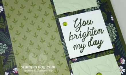 Go Ahead!  Brighten My Day