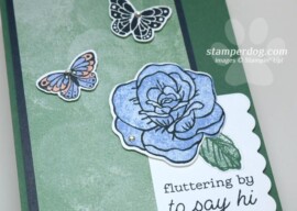 Butterfly Card Idea (1 Idea 2 Cards)
