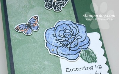 Butterfly Card Idea (1 Idea 2 Cards)