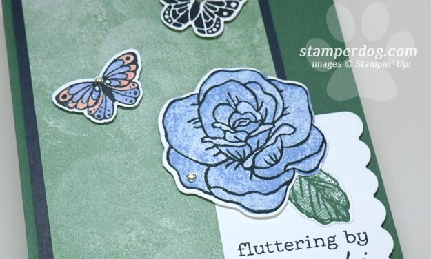 Butterfly Card Idea (1 Idea 2 Cards)