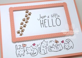 Celebrating Sunday with a Cat Card